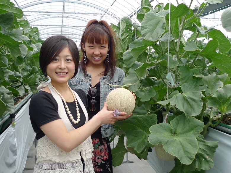 愛知へ観光バス旅行！おすすめの休憩スポット「田原めっくんはうす」