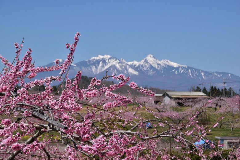 山梨へ観光バス旅行！おすすめの休憩スポット「にらさき」