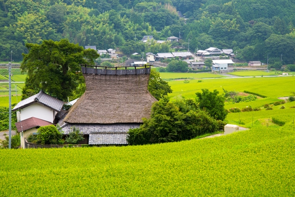 能勢町の田園風景