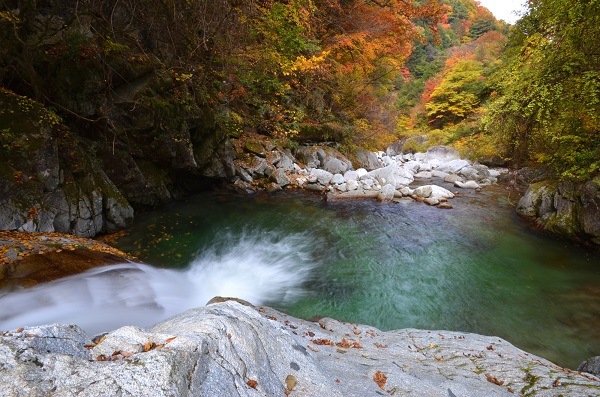 山梨県「尾白川渓谷」