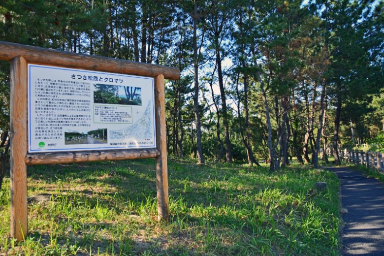 福岡へ観光バス旅行！おすすめの休憩スポット「むなかた」