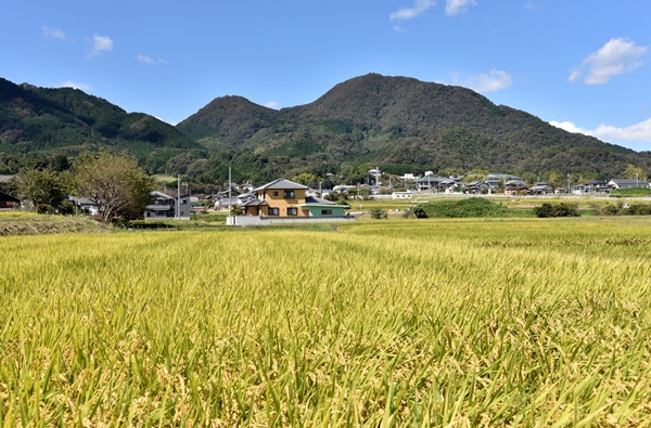 大阪へ観光バス旅行！おすすめの休憩スポット「近つ飛鳥の里太子」