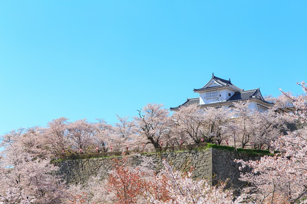 岡山県「津山城」