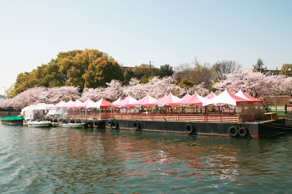 お花見三昧！「水都大阪川開き2013」