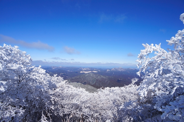 三峰山・霧氷