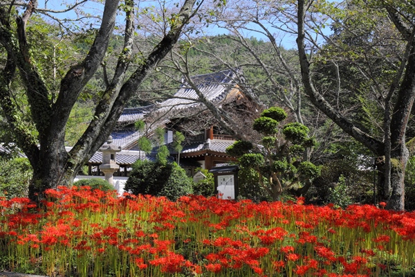 奈良・世尊寺