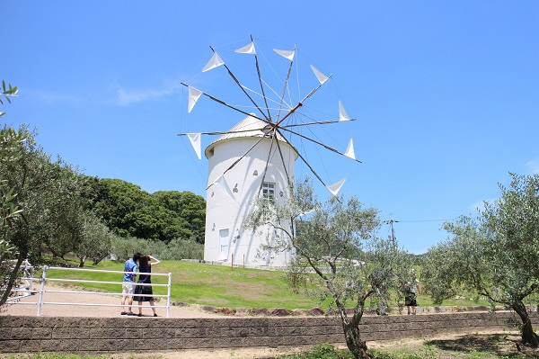 香川へ観光バス旅行！おすすめの休憩スポット「小豆島オリーブ公園」