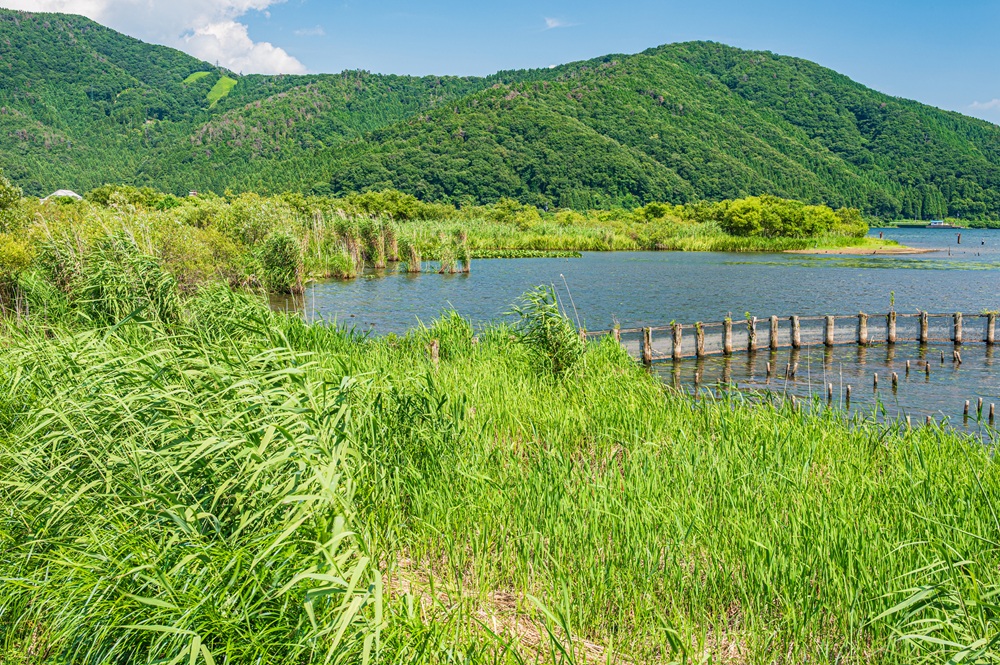 夏の奥びわ湖