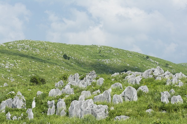 「秋吉台」山口県