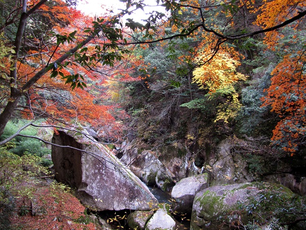 島根県「鬼の舌震」