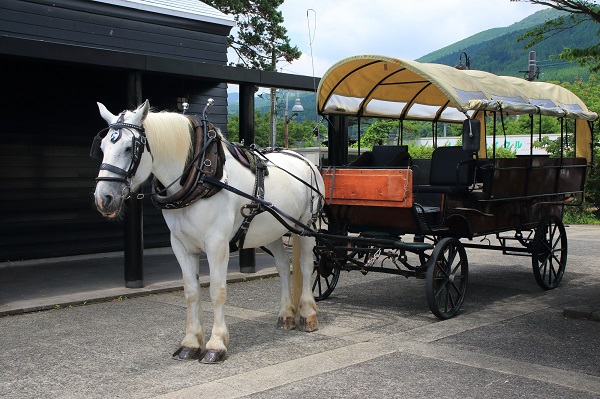 大分県「観光辻馬車」