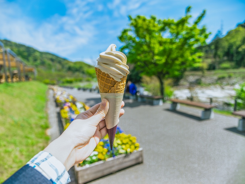 道の駅自慢のソフトクリーム