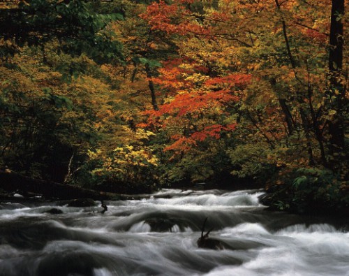 towada_autumn