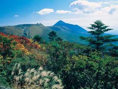 【2013年】12月に紅葉狩り?! 秋冬の鹿児島は魅力満載★