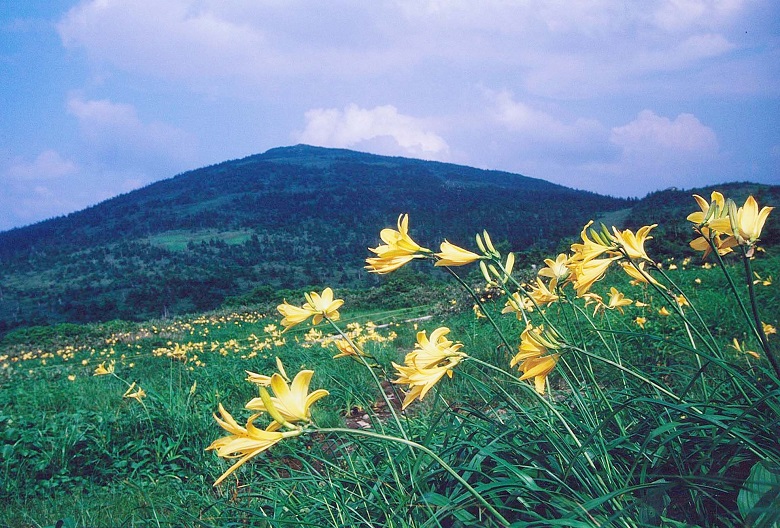 森吉山