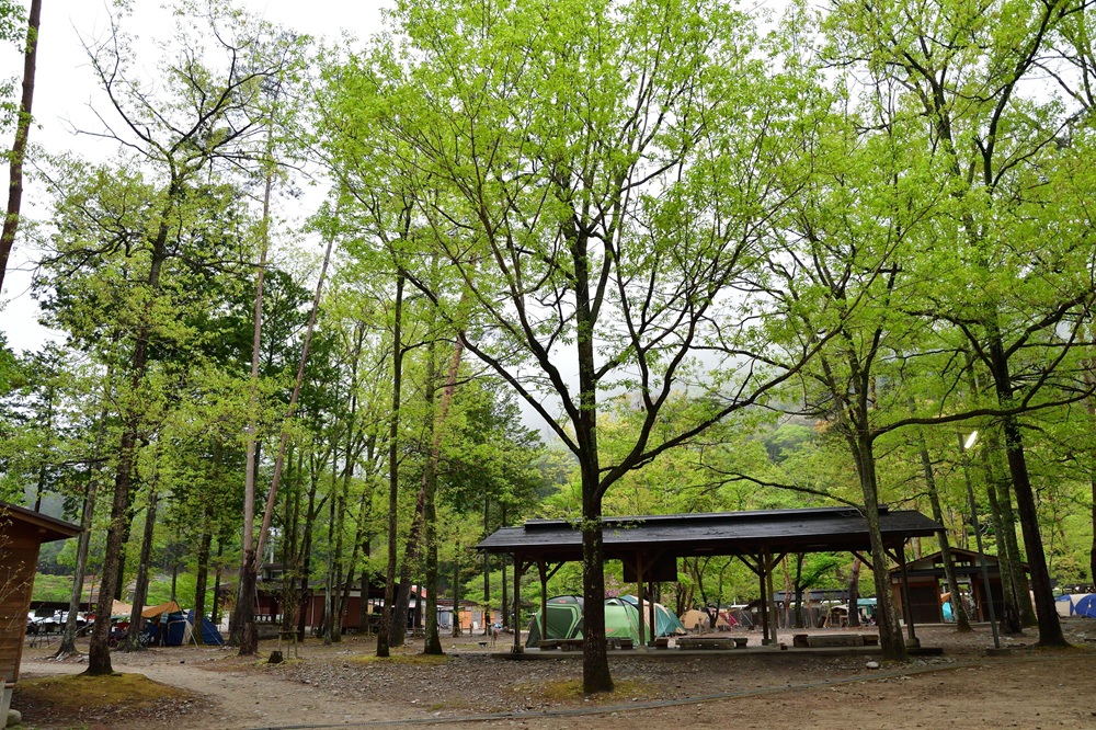 岐阜へ観光バス旅行！おすすめの休憩スポット「道の駅 清流白川 クオーレの里」