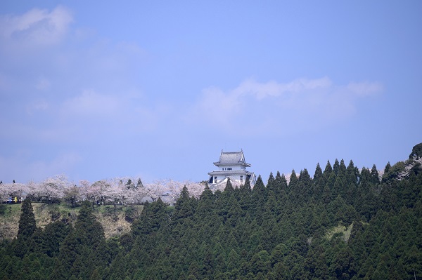 宮崎県「天ケ城公園」