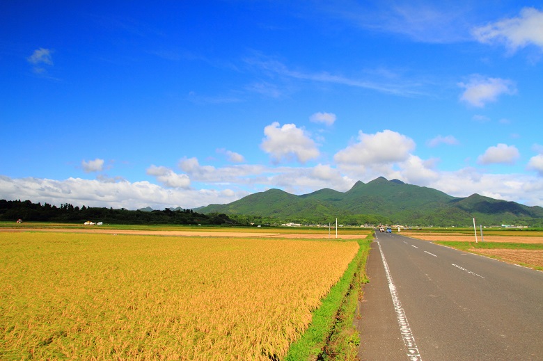 鹿児島へ観光バス旅行！おすすめの休憩スポット「きんぽう木花館」