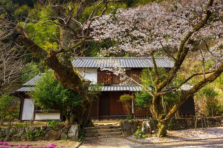 宮崎へ観光バス旅行！おすすめの休憩スポット「とうごう」