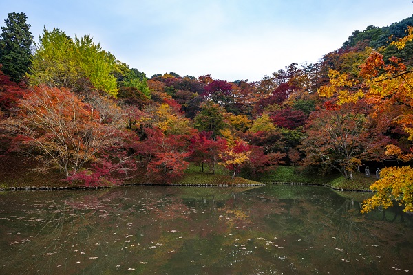 大分県「用作公園」