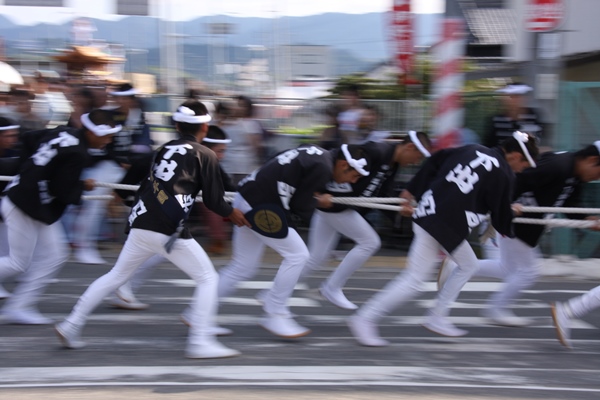 岸和田だんじり祭り