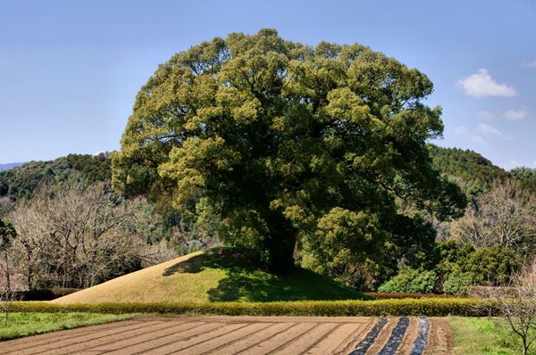 江田船山古墳