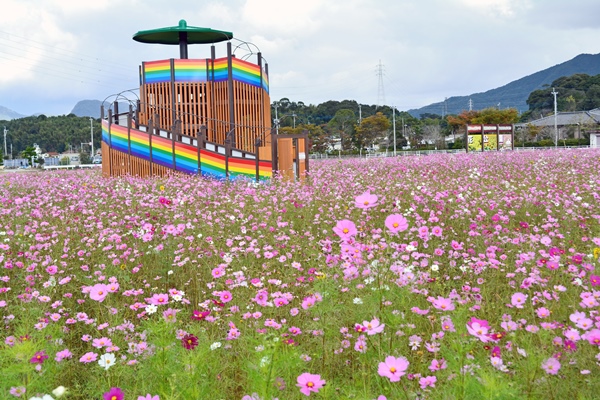 道の駅に隣接する「おうとう花公園」