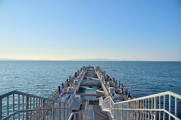 大阪へ観光バス旅行！おすすめの休憩スポット「とっとパーク小島」