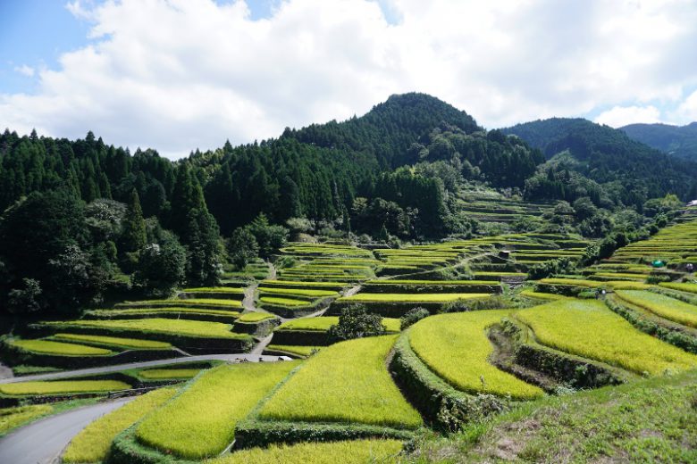 福岡へ観光バス旅行！おすすめの休憩スポット「うきは」