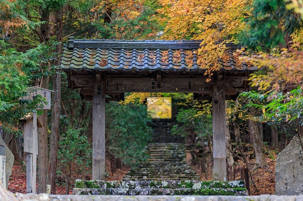 京都「常照皇寺」