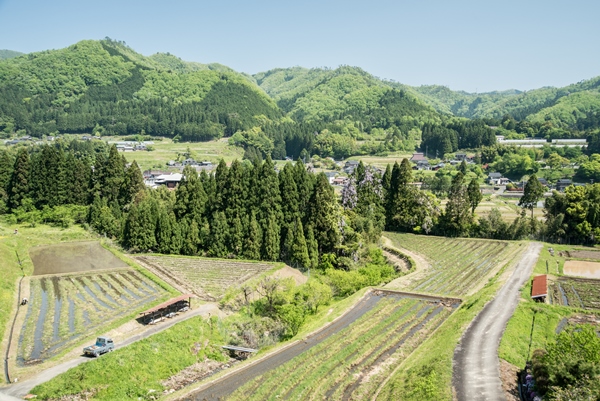 京丹波町の田園風景