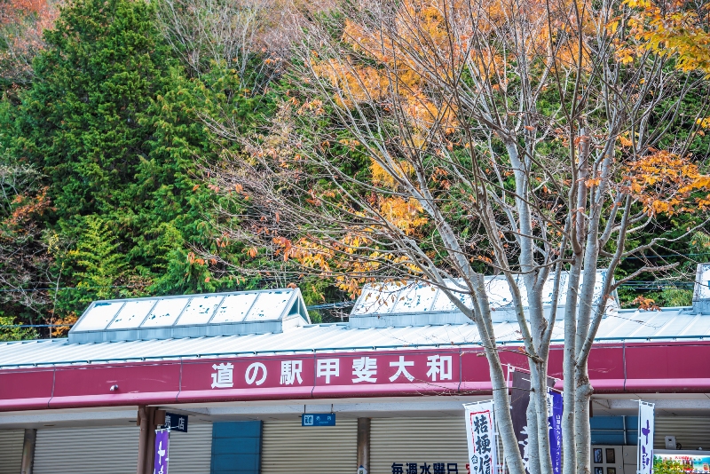 道の駅「甲斐大泉」