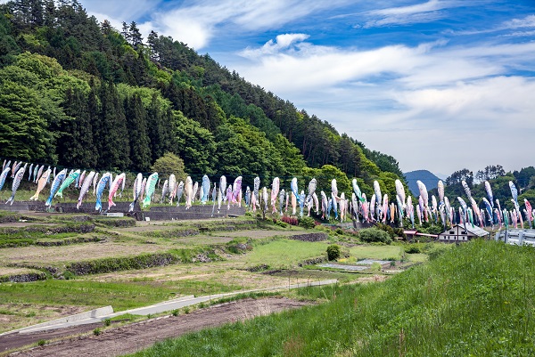 山梨県「南八ヶ岳花の森公園」