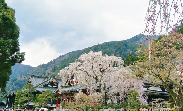 【2014年】大雪による影響は解除！山梨を応援しよう