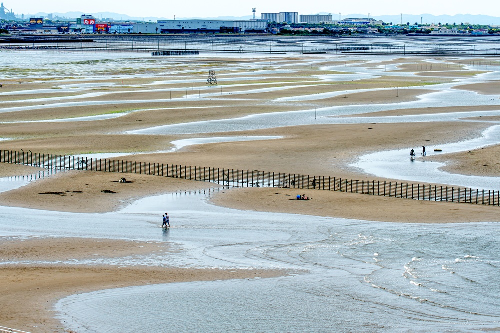牛込海岸潮干狩り場
