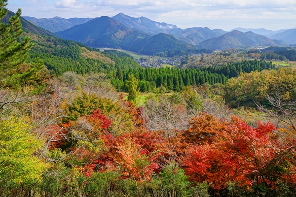 宝山から夜久野高原を望む