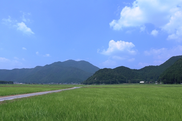 青垣市の田園風景