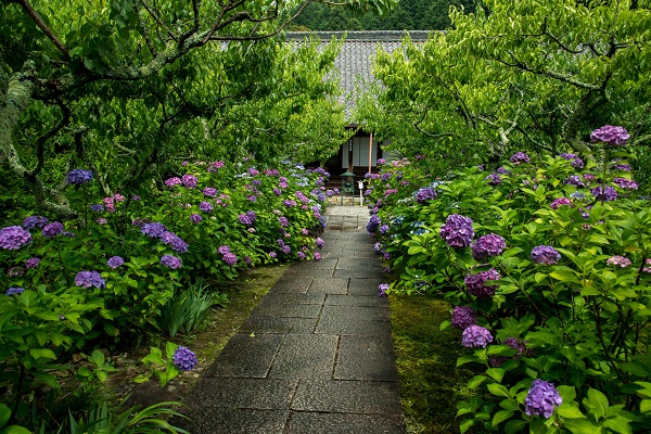 愛知県「本光寺」