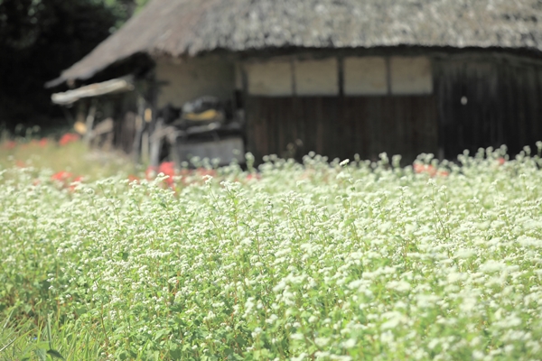 兵庫へ観光バス旅行！おすすめの休憩スポット「いながわ」