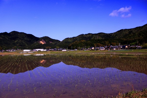 春日町の田園風景