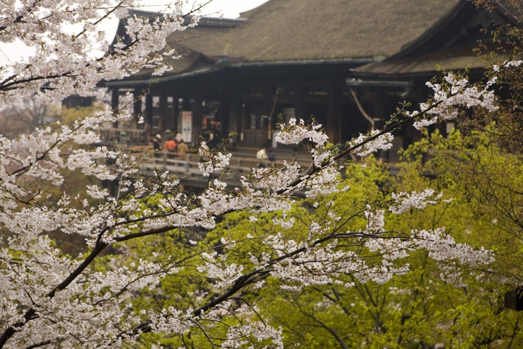 【2014年】京都で雅な春を！