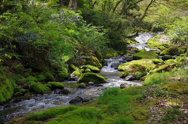 兵庫へ観光バス旅行！おすすめの休憩スポット「あゆの里矢田川」