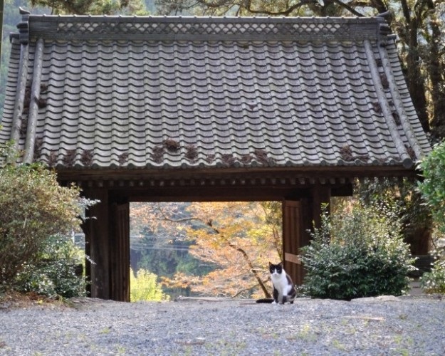 満光寺の入り口