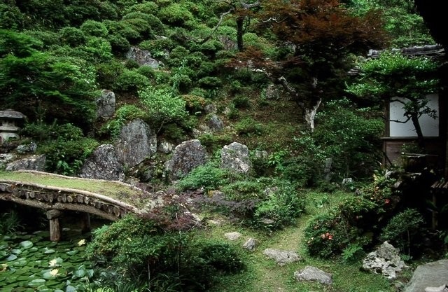 満光寺庭園