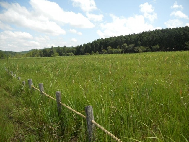 長ノ山湿原