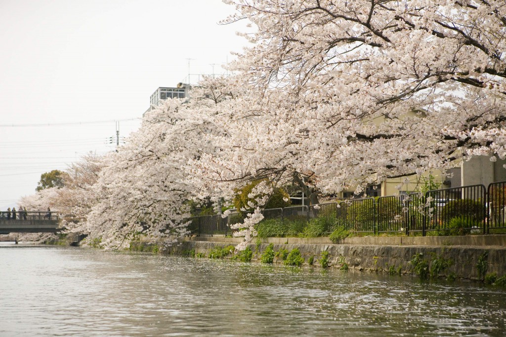 岡崎疎水