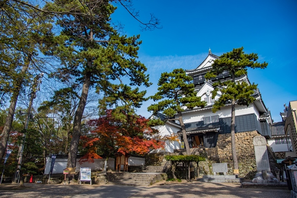 愛知　岡崎城の天守閣　紅葉