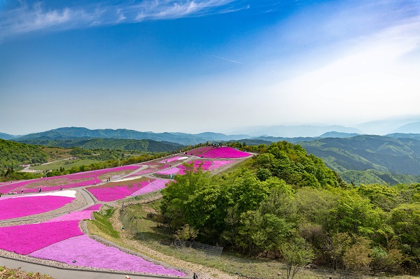 愛知県「茶臼山高原」