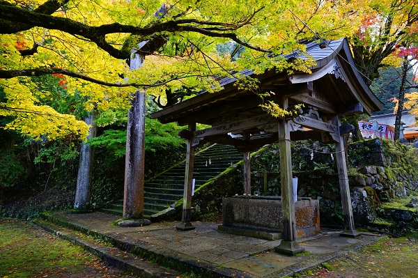 兵庫「養父神社」