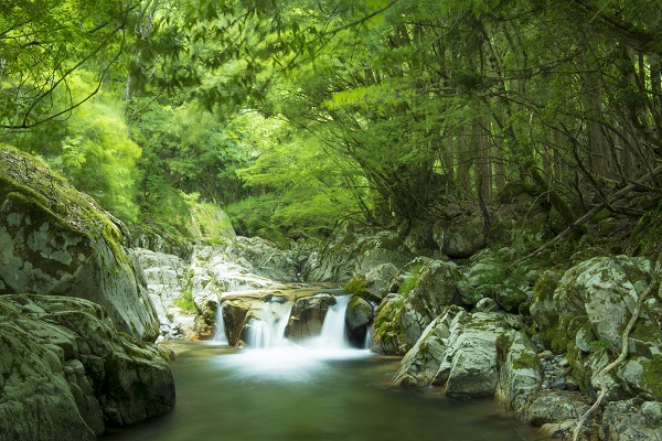 兵庫県「赤西渓谷」